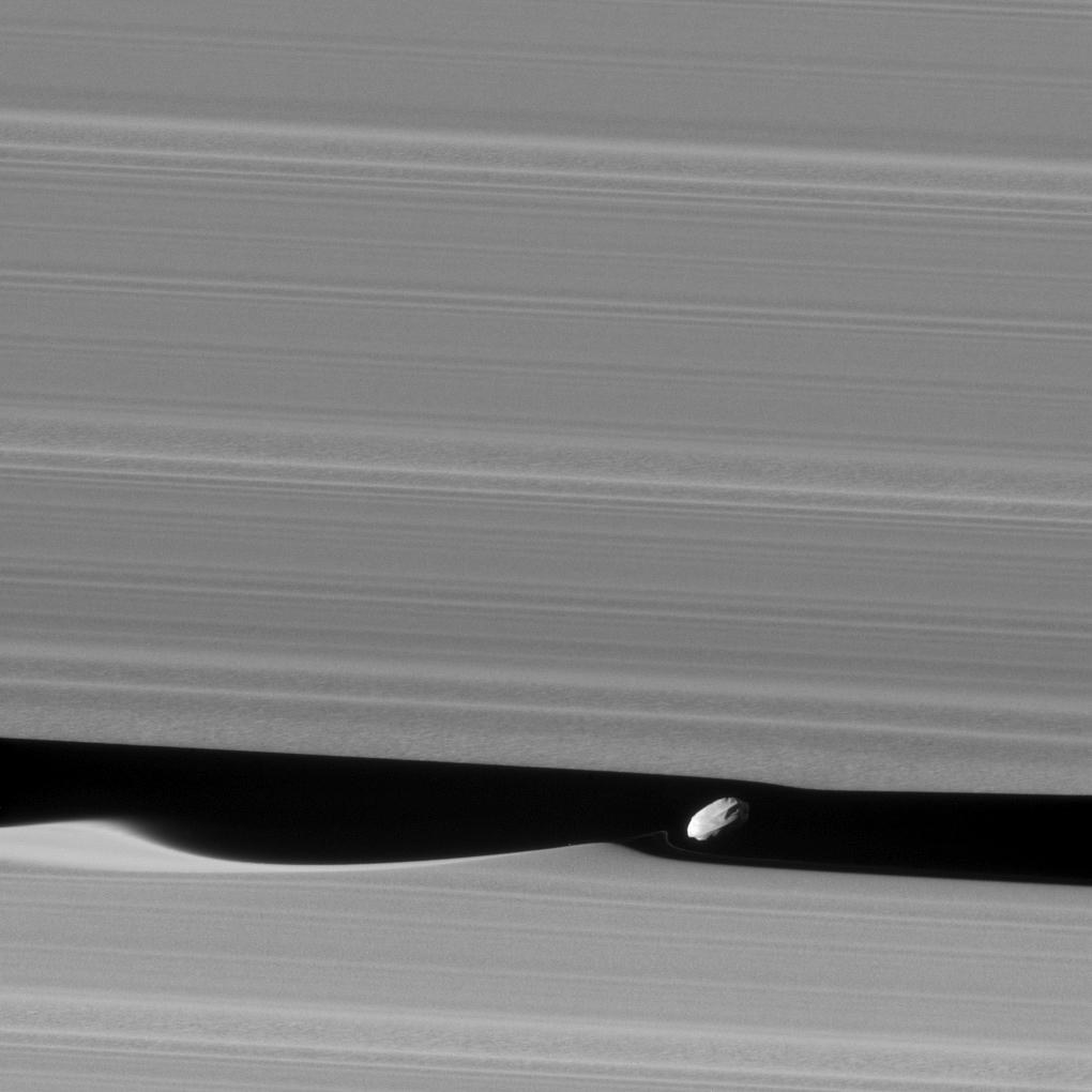 Close Cassini view of Daphnis, a small potato-shaped moon with an equatorial ridge, inside the Keeler Gap